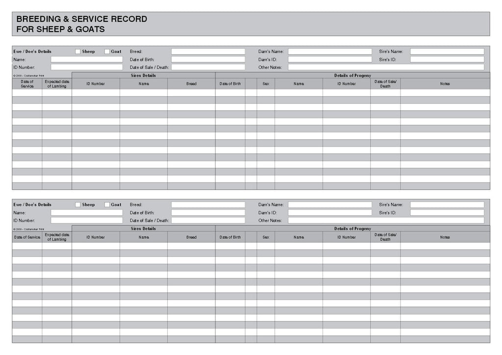 BREEDING & SERVICE BOOK FOR SHEEP & GOATS (A4/32 Pages) B036 (Lambing Record Book)
